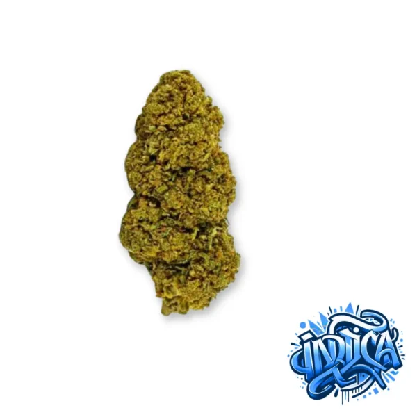 Indica Pineapple Express CBD Blueten auf blauem Hintergrund