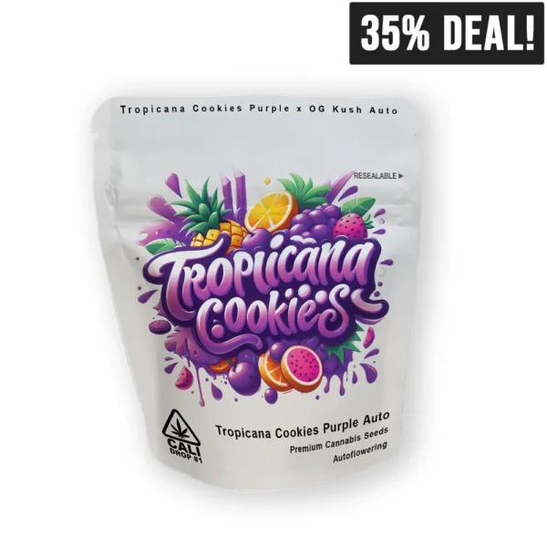 Tropicana Cookies Purple auto Verpackung - Baba Seeds - 35% Rabatt