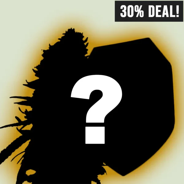 Royal Queen Seeds Mystery 5er Bundle 