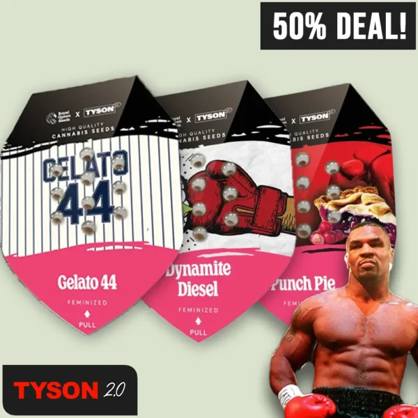 Royal Queen Seeds Tyson 2.0 Fem Bundle