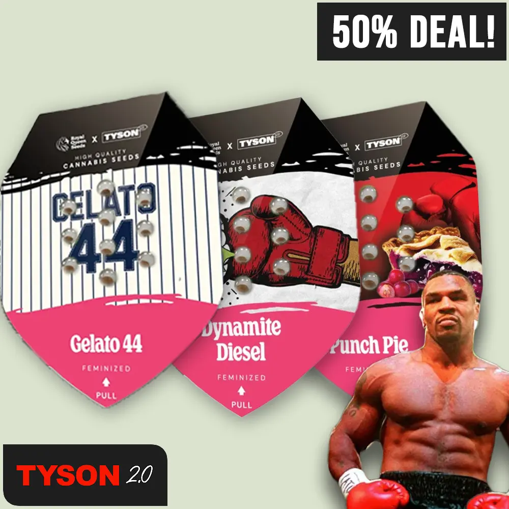 Royal Queen Seeds Tyson 2.0 Fem Bundle