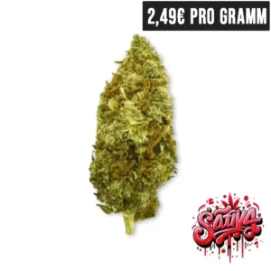 10HC Super Lemon Haze - Discount 2,49 Pro Gramm