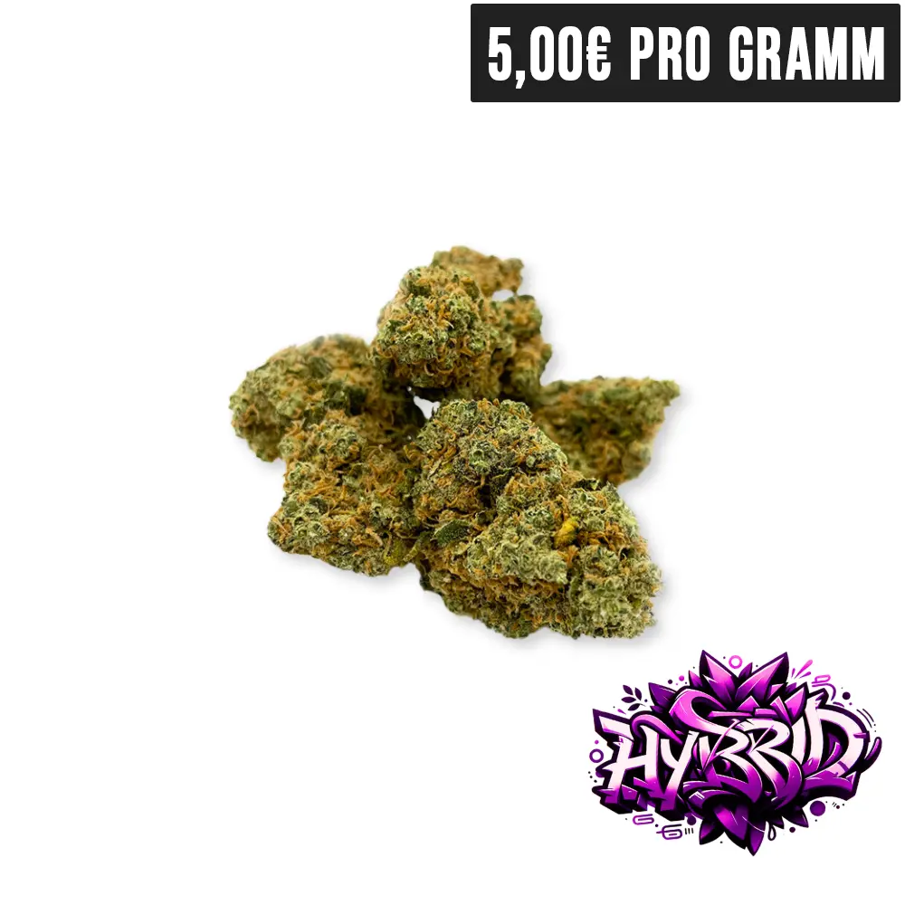 Hybrid Blueberry Cake CBD Blueten Lila Hintergrund
