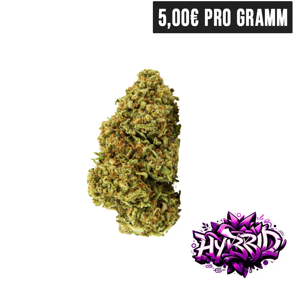 CBD BLüten Gelato - High420 - Hybrid CBD Blüten