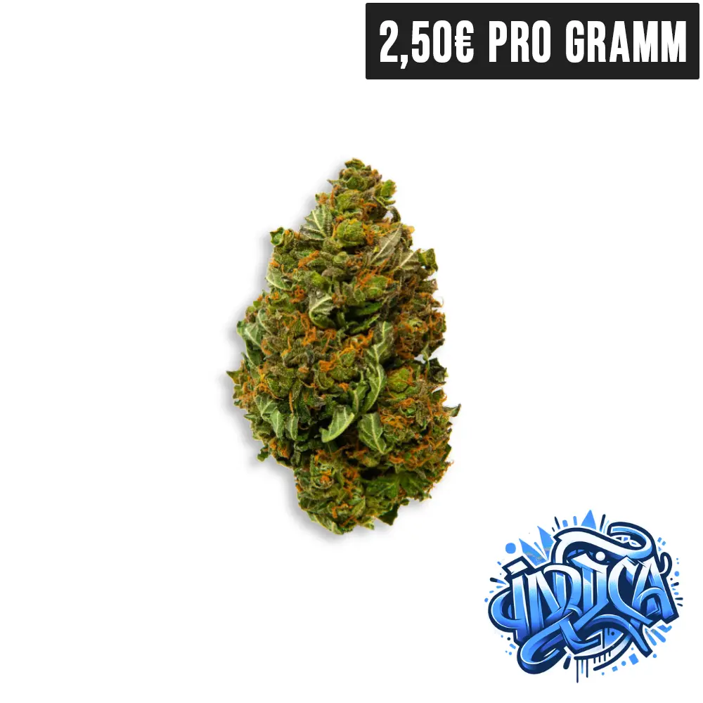 OG Kush 2.webp