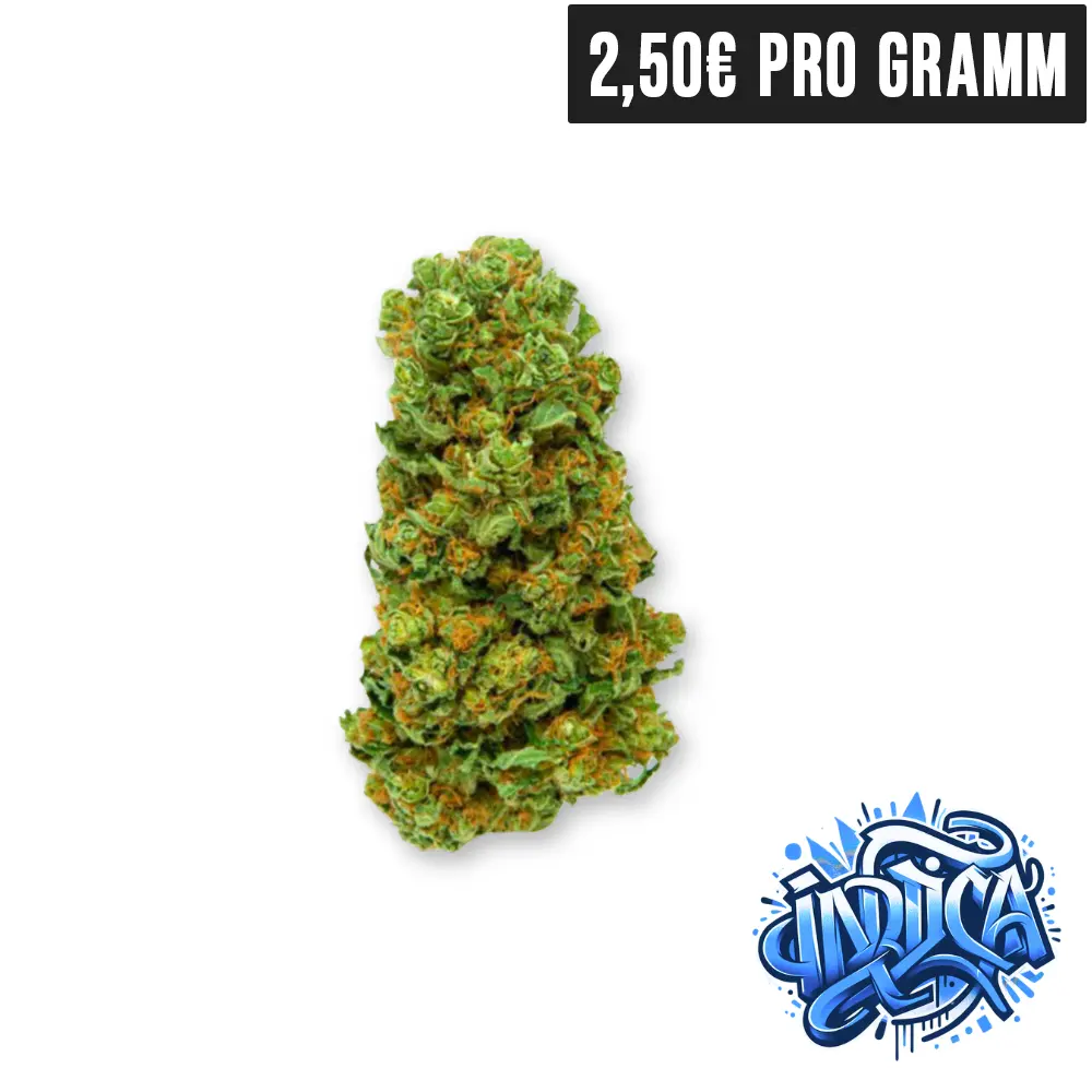 Indica Pineapple Express CBD Blueten auf blauem Hintergrund