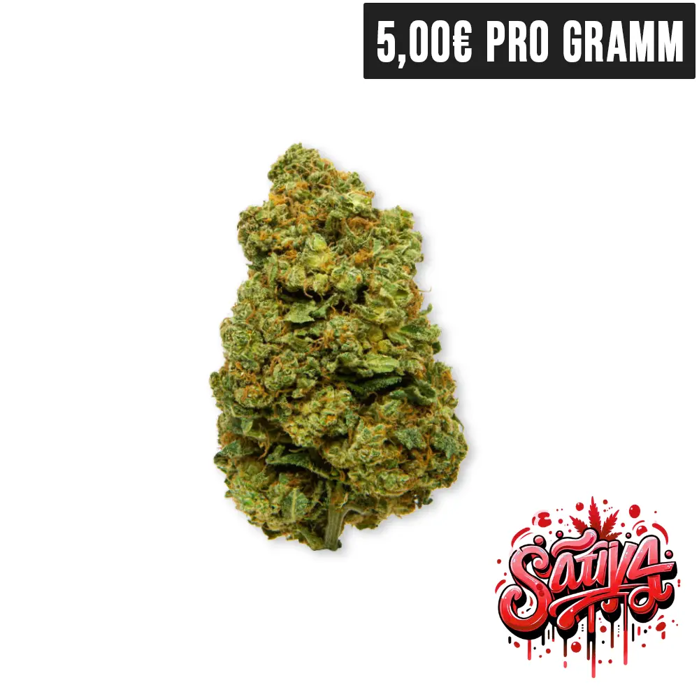 Rising Haze CBD Blueten
