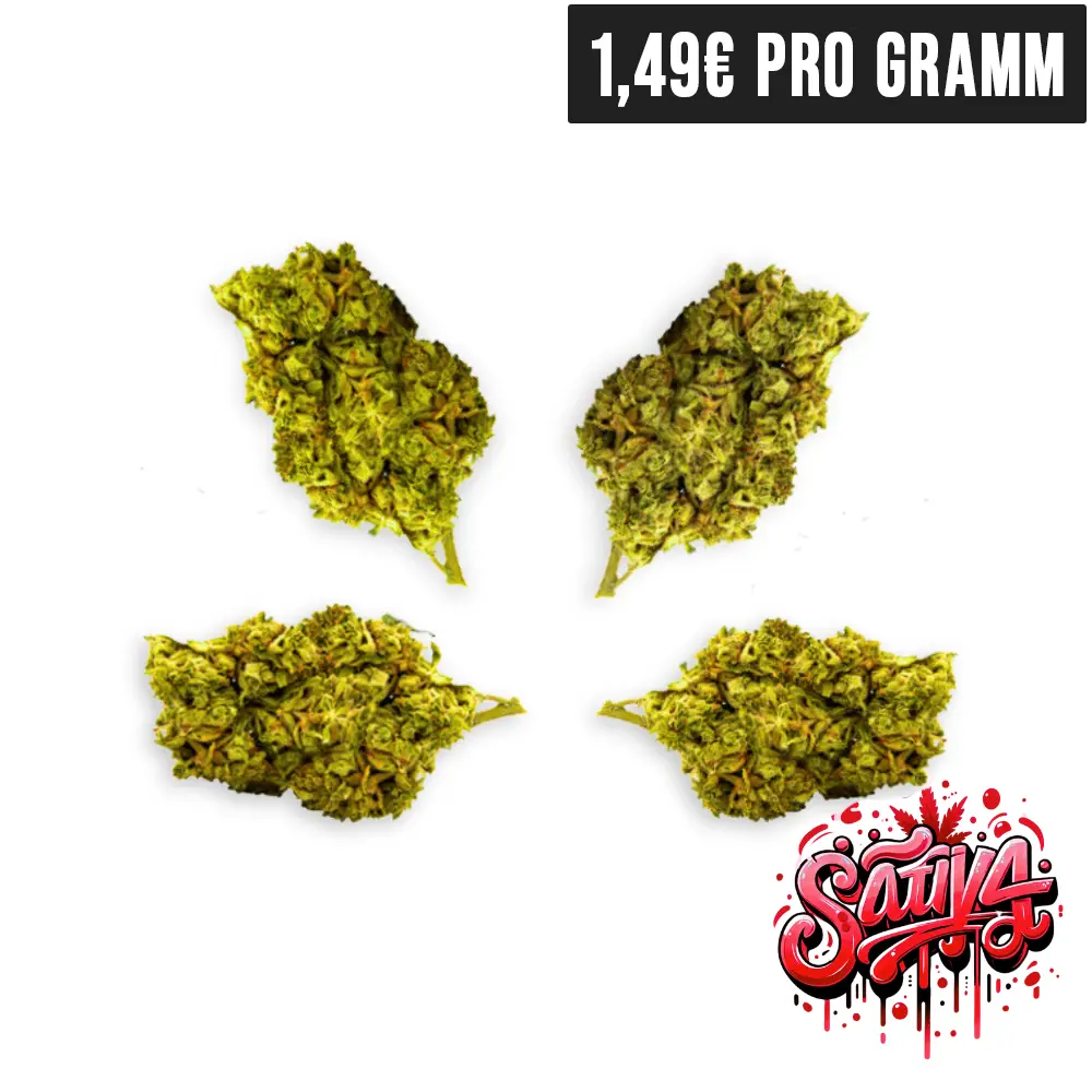Silver Haze CBD Blueten Small Buds Sativa