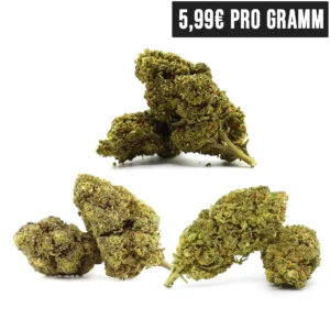 10-OH Bundle High420 V2.webp