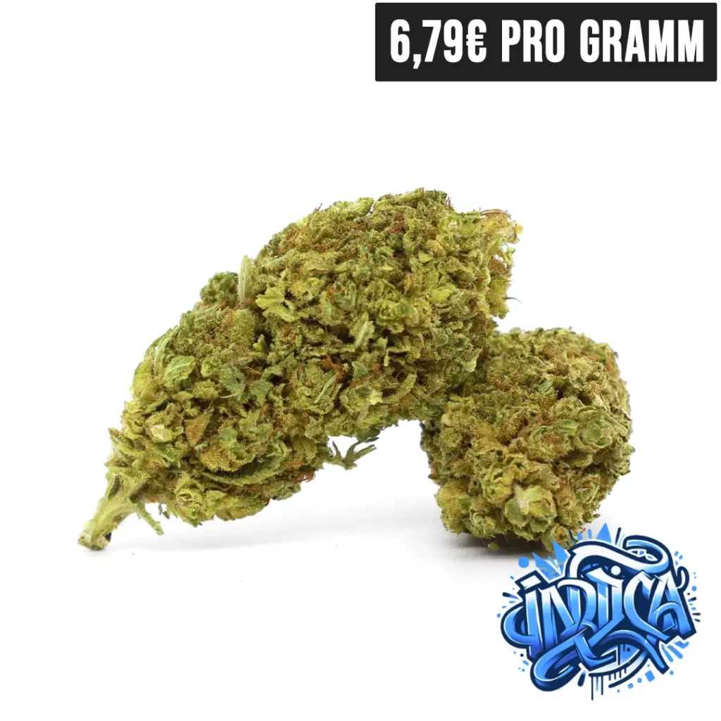 Oreoz - 30- OH- - Hybrid | High420.de Oreoz | 30% OH+ | Hybrid